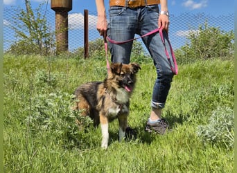Süße Tessa sucht liebevolle Menschen