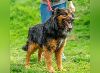 Zümi von kettenlos