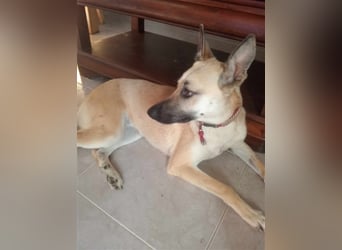 Liebe PRINCESA sucht ihr Traumkörbchen