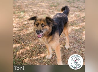Toni: Freundlicher Entdecker