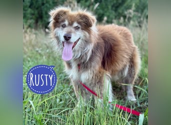 Rusty ein Freund fürs Leben