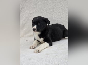 Nina, eine von 7 wundervollen Zwergen