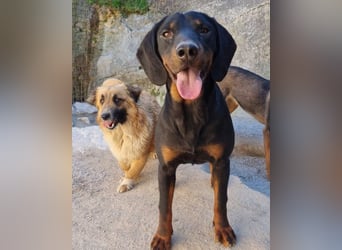 Goldschatz Grace sucht ihre Familie