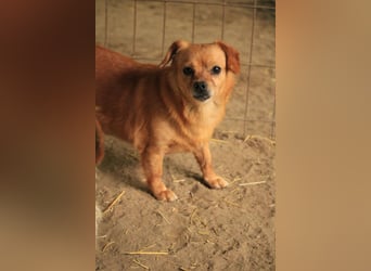 Maggie LM – vorsichtige Seele sucht sicheren Hafen