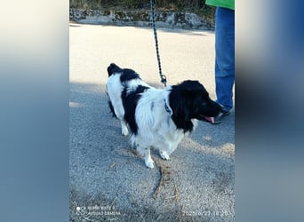 Fortuna sucht ihre Menschen