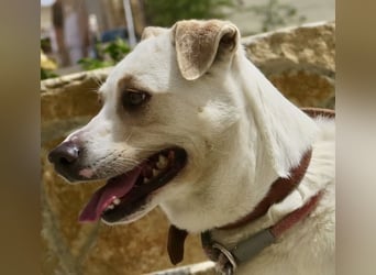 Coco, offen, menschenbezogen, freundlich