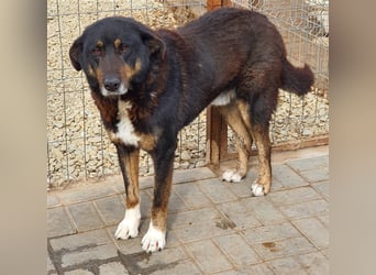 Lucky: wer lässt seine Augen strahlen