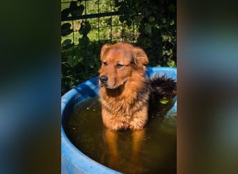 Milo – Harte Schale, weicher Kern