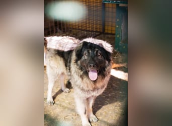 Bear: Hat seine Angst überwunden