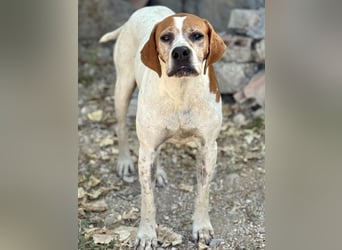 Esther, hofft auf ihr großes Glück
