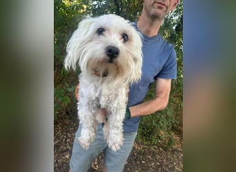 Casper, geboren 06.12.2023, 24cm sucht seine Menschen