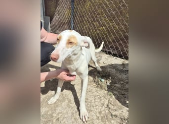Barbi, wartet auf ihre Familie
