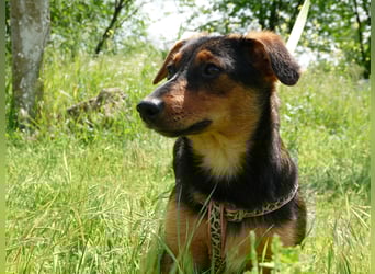 Kleine Riva sucht eine Familie