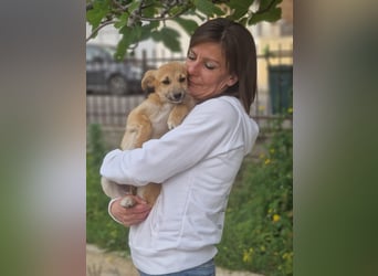 Zoe – so klein, wie knuffig