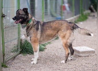 LIA-hat ihre Koffer voller Hoffnung auf einen Neustart gepackt und wartet jetzt auf ihr großes Wunde