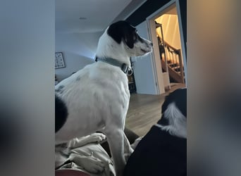 Josie möchte jetzt auch endlich ankommen