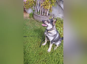 Aktive Tina sucht ihre eigene Familie