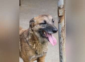 Kuckuck, zauberhafte NISHA sucht liebevolle Familie