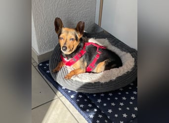 Roger: einfach nur Klasse!