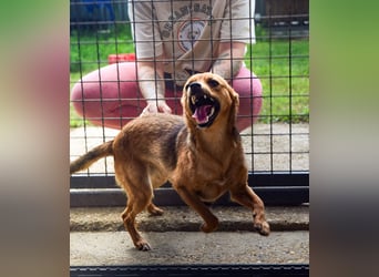 Klemi – einst schüchtern, heute bereit für ein Zuhause voller Liebe