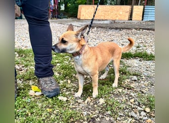 Sonya – kleine Entdeckerin mit sanftem Wesen