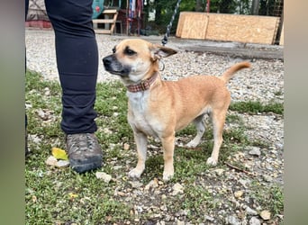 Sonya – kleine Entdeckerin mit sanftem Wesen