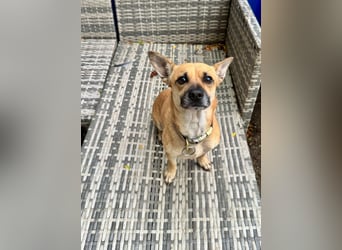 Sonya – kleine Entdeckerin mit sanftem Wesen