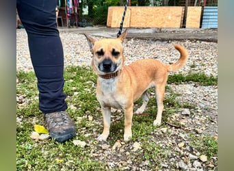 Sonya – kleine Entdeckerin mit sanftem Wesen