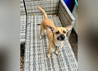 Sonya – kleine Entdeckerin mit sanftem Wesen