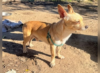 Wifi - verspielt, offen und ruhebedürftig