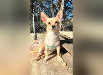 Wifi - verspielt, offen und ruhebedürftig