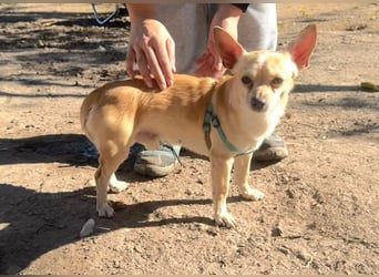 Wifi - verspielt, offen und ruhebedürftig