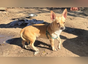 Wifi - verspielt, offen und ruhebedürftig