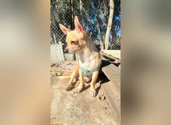 Wifi - verspielt, offen und ruhebedürftig