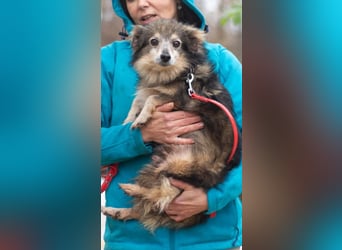 BIM Kleiner Kerl mit Kämpferherz BIM Kleiner Kerl mit Kämpferherz