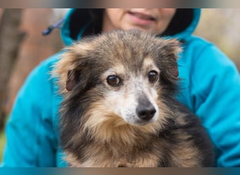 BIM Kleiner Kerl mit Kämpferherz BIM Kleiner Kerl mit Kämpferherz