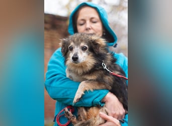 BIM Kleiner Kerl mit Kämpferherz BIM Kleiner Kerl mit Kämpferherz
