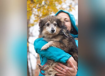 BIM Kleiner Kerl mit Kämpferherz BIM Kleiner Kerl mit Kämpferherz