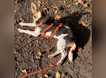 Panja - Sie schaut nach vorn