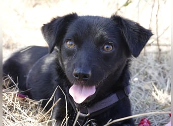 Kleine Nisha sucht ihre Menschen