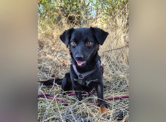 Kleine Nisha sucht ihre Menschen