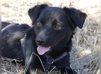 Kleine Nisha sucht ihre Menschen