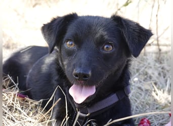 Sanfte Nisha sucht ihre Menschen