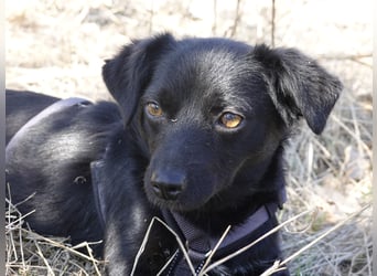 Kleine Nisha sucht ihre Menschen