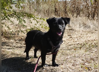 Kleine Nisha sucht ihre Menschen