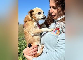 Yaya *Gnadenplatz gesucht*