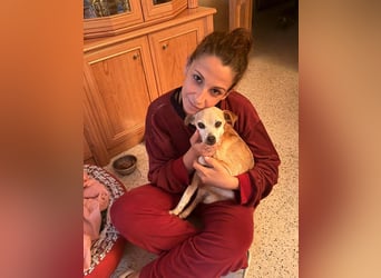 Yaya *Gnadenplatz gesucht*