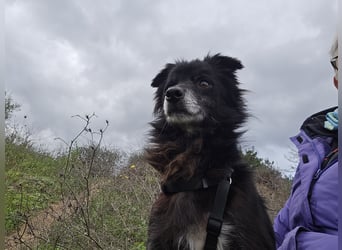 Mimmo: kleiner Zwerg sucht Kuschelplatz