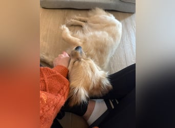 Sonnenschein Kira sucht perfektes Zuhause