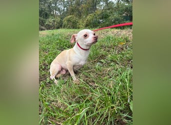 PIXIE -  ich bin gespannt was das Leben Tolles für mich bereithält...